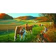 God's Country 300pc Jigsaw Puzzle by Michael Sieve