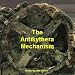 Antikythera Mechanism