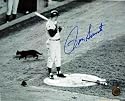 Ron Santo Chicago Cubs - Black Cat at Shea Stadium - 8x10 Autographed Photograph