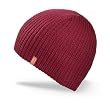 DAKINE Men's Wendell Ribbed Beanie