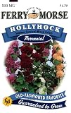 Ferry-Morse Perennial Flower Seeds 1577 Hollyhock - Summer Carnival Mixed Colors 500 Milligram Packet