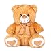 Kuddles Angel Teddy, 38 Cm By Ultra (Brown) RS.399.00