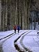 Women Jogging in a Wintery Park City, Park City, Utah, USA Places Photographic Poster Print by Cheyenne Rouse, 24x32