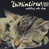 Watching Cats Sleep
