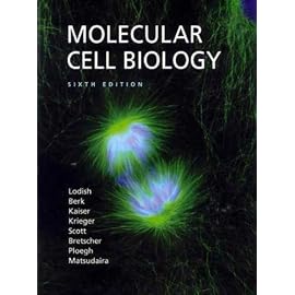 Molecular Cell Biology