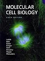 Molecular Cell Biology (Lodish, Molecular Cell Biology)