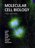 Molecular Cell Biology: Complete Transparency Set
