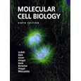 Molecular Cell Biology by Harvey Lodish, Arnold Berk, Chris A. Kaiser, and Monty Krieger