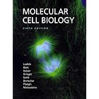 Molecular Cell Biology (Lodish, Molecular Cell Biology) by Harvey Lodish, Arnold Berk, Chris A. Kaiser, and Monty Krieger