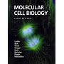 Molecular Cell Biology