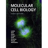 Molecular Cell Biology (Lodish, Molecular Cell Biology)
