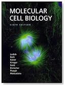 Molecular Cell Biology (Lodish, Molecular Cell Biology)