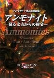 アンモナイト -アンモナイト最新化石図鑑 蘇る太古からの秘宝-の画像