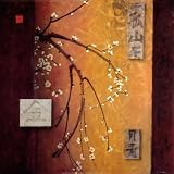 Oriental Blossoms II Art Poster Print by Don Li-Leger, 28x28