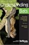 Understanding Bats