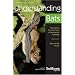 Understanding Bats