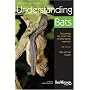 Understanding Bats
