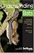 Understanding Bats