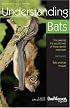 Understanding Bats