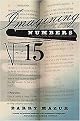 Imagining Numbers (Particularly the Square Root of Minus Fifteen) (Reprint) (Paperback)
