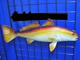 Redfish or Bull Red 28 Trophy Wall Fish Mount Replica Drum Sculpture Art