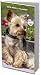 yorkshire_terrier12yorkshire terrier - Yorkshire Terriers 2010 Pocket Planner