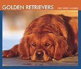Golden Retrievers 2008 Boxed