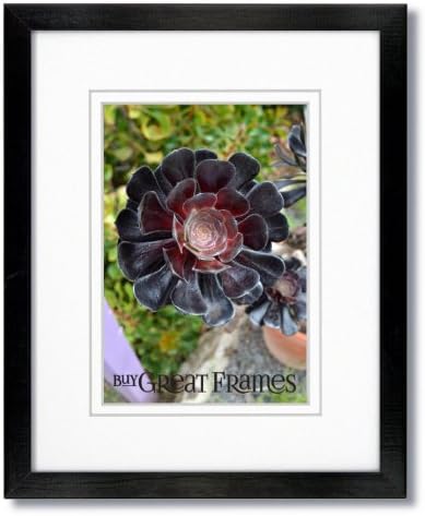 One 16x20 Gallery Black Wood Picture Frame with Clear Glass and Double White Mat for 12x16