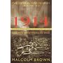 The Imperial War Museum Book of 1914: The Men Who Went to War (Pan Grand Strategy)