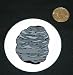 3 button / pin printed with wind, united states, desert, sand, storm, scene, southwestern desert