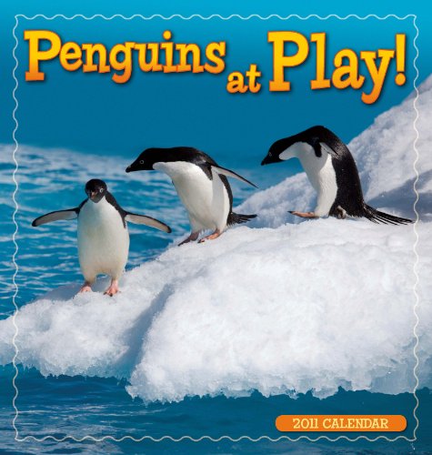Penguins at Play 2011 Calendar (Calendar)