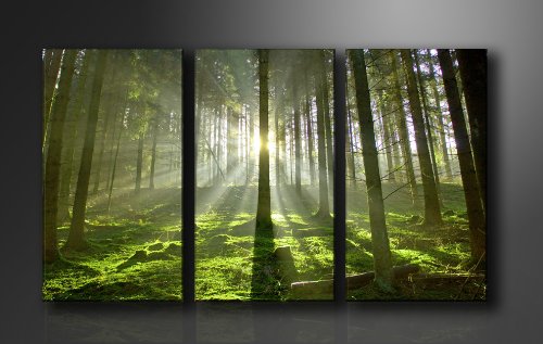 Bild auf Leinwand Bäume 160 x 90 cm 3 Teile Modell-Nr. XXL 1130 Bilder fertig gerahmt auf echtem Holzrahmen riesig. Ausführung Kunstdruck als Wandbild auf Rahmen. Günstiger als Ölbild Gemälde Poster Plakat mit Bilderrahmen