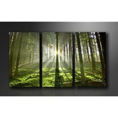Bild auf Leinwand B�ume 160 x 90 cm 3 Teile Modell-Nr. XXL 1130 Bilder fertig gerahmt�auf echtem Holzrahmen riesig. Ausf�hrung Kunstdruck als Wandbild auf Rahmen. G�nstiger als �lbild Gem�lde Poster Plakat mit Bilderrahmen