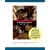 Corporate Finance: WITH Student CD, Ethics in Finance PowerWeb AND Standard and Poor's