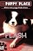 Flash (The Puppy Place) by Ellen Miles