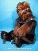 Chewbacca Back Buddy
