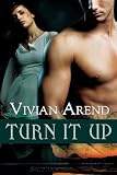 Turn It Up: Turner Twins, Book 2