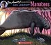 All About Manatees