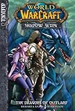 World of Warcraft. Shadow wing