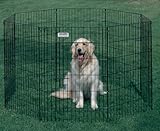 51l8oP RX6L. SL160  Precision Pet® Ultimate Exercise Pen