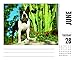 2016 Just Boston Terriers Box Calendar