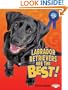 Labrador Retrievers Are the Best! (Best Dogs Ever)