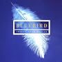 Bluebird: Voices from Heaven