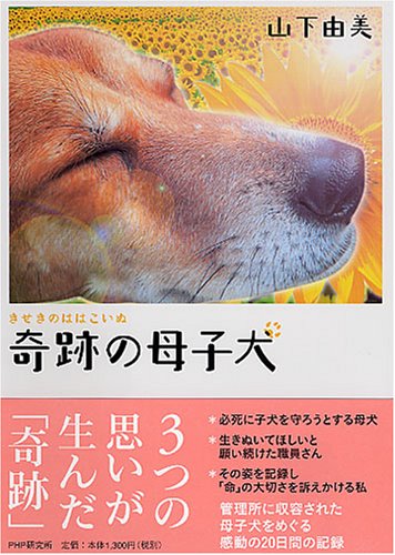 奇跡の母子犬 山下 由美