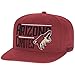 NHL Arizona Coyotes Men's High Box Flat Brim Snapback Cap, One Size, Red