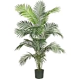 6' Paradise Palm Silk Tree
