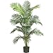 6' Paradise Palm Silk Tree
