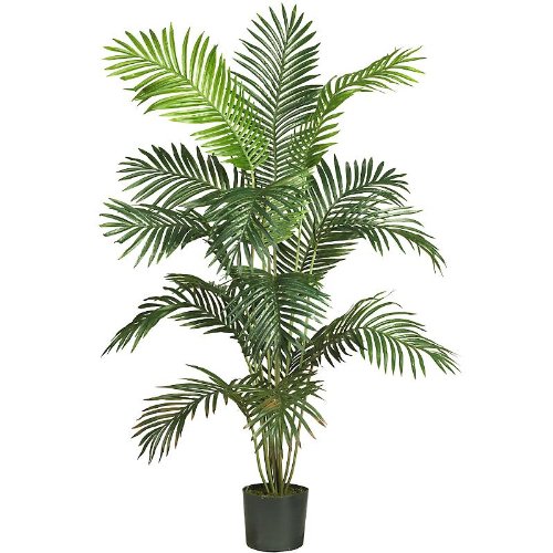 6' Paradise Palm Silk Tree