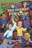 9 Books: Ballpark Mysteries - Fenway Foul Up, Pinstripe Ghost, LA Dodger, Astro Outlaw, All Star Joker, Wrigley Riddle, San Francisco Splash, Missing Marlin, Philly Fake