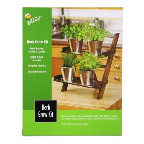 Buzzy Herb Grow Kit w/ Wooden Growing Stand, Seeds, Soil & Pots